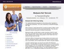 Tablet Screenshot of marijuanahairtest.com
